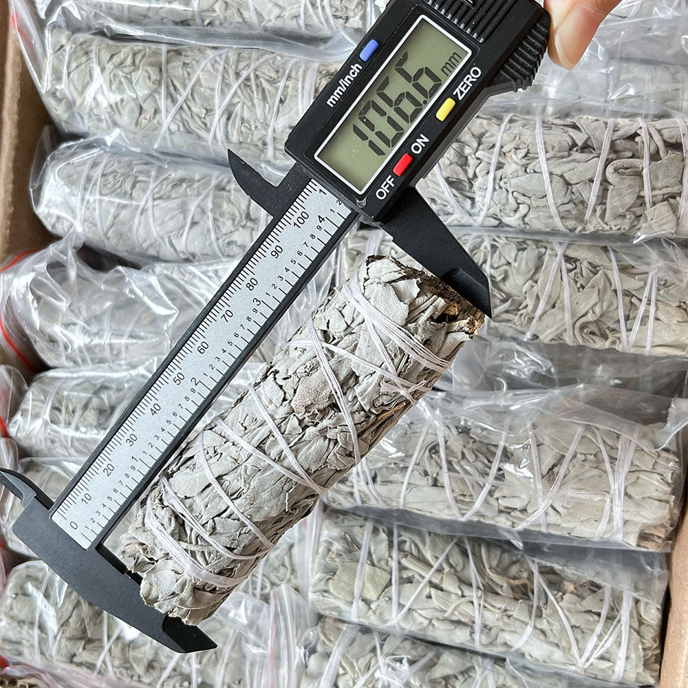 Piumarosa_salvia_bianca_misura