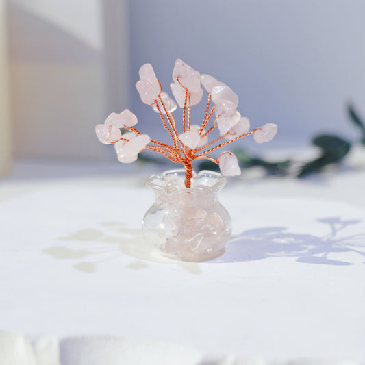 Bonsai vasetto Quarzo Rosa