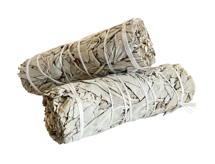 piumarosa_salvia_bianca_doppia