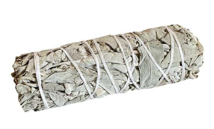 piumarosa_salvia_bianca_singola