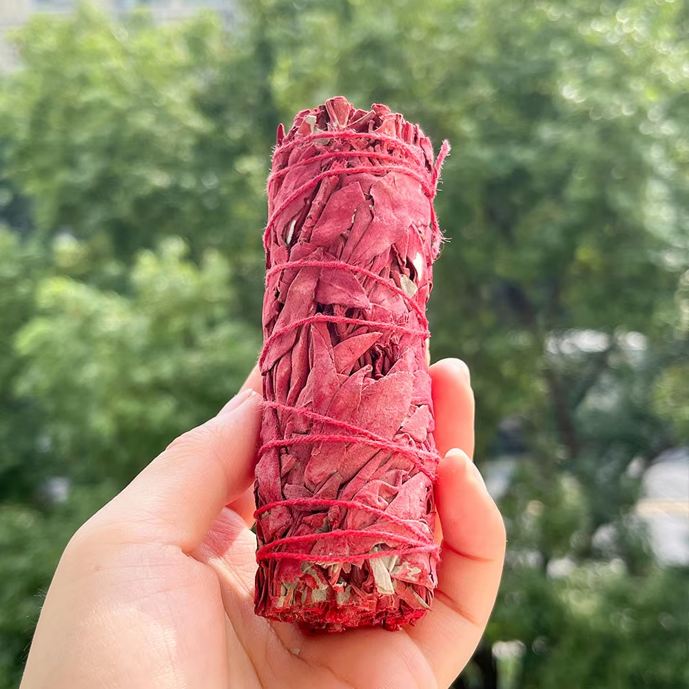 Salvia Bianca e Sangue di Drago 10cm