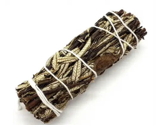 Smudge di Yerba Santa